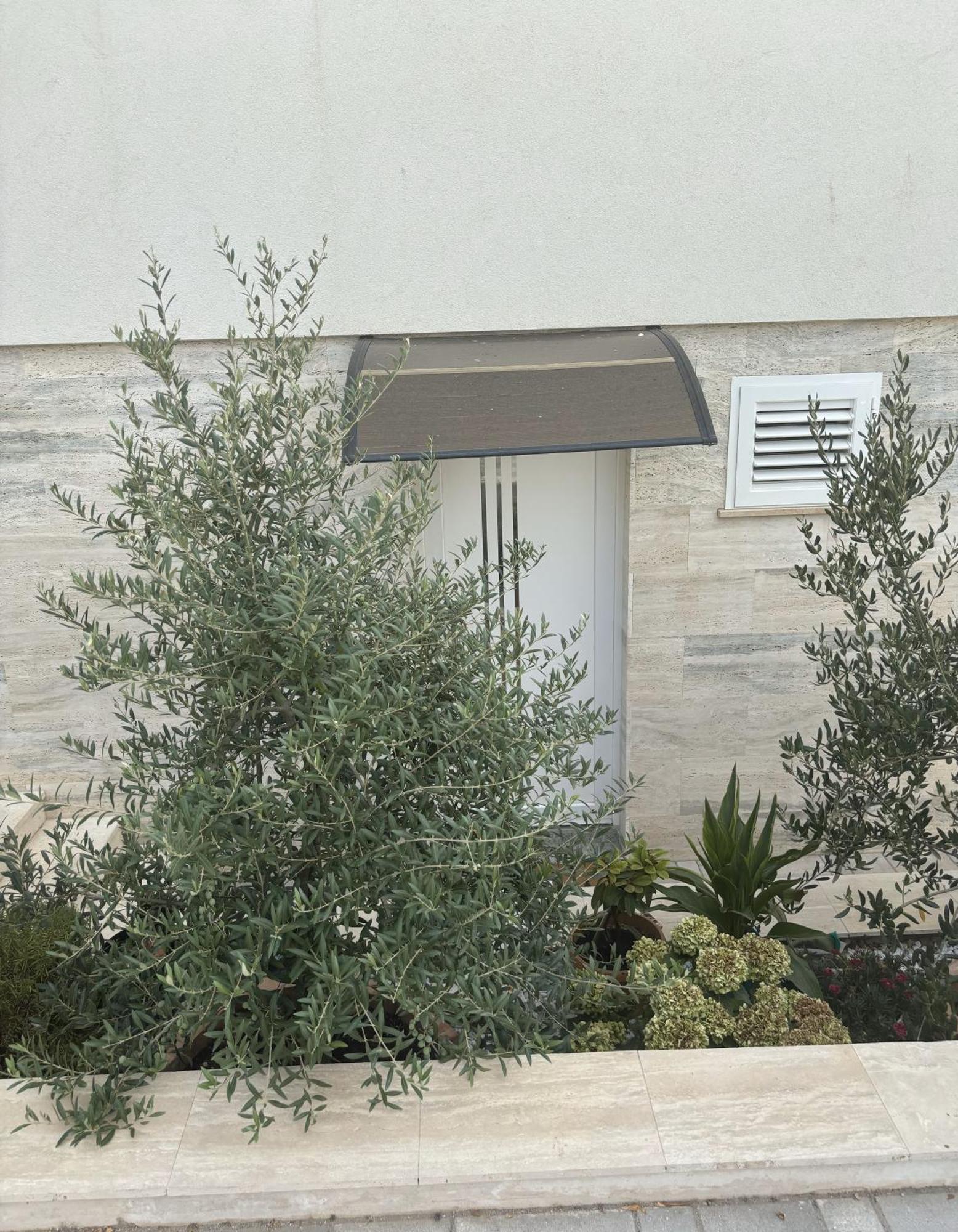 Vila Regina Apartment Rex With Swimming Pool イェゼラ エクステリア 写真