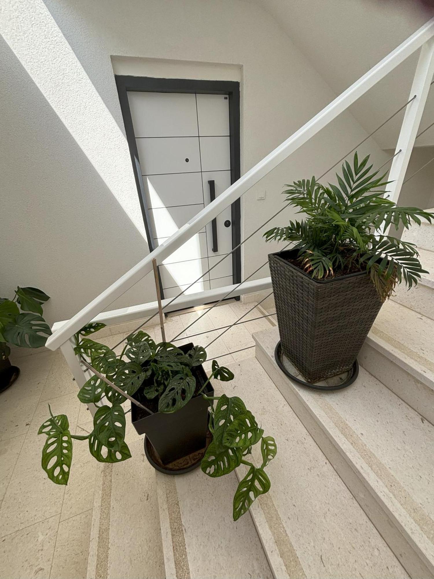 Vila Regina Apartment Rex With Swimming Pool イェゼラ エクステリア 写真
